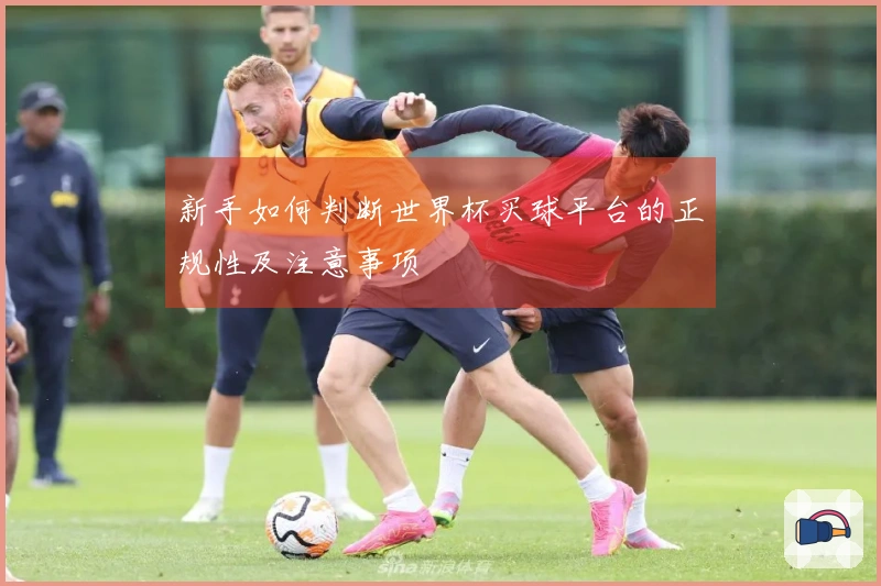 新手如何判断世界杯买球平台的正规性及注意事项
