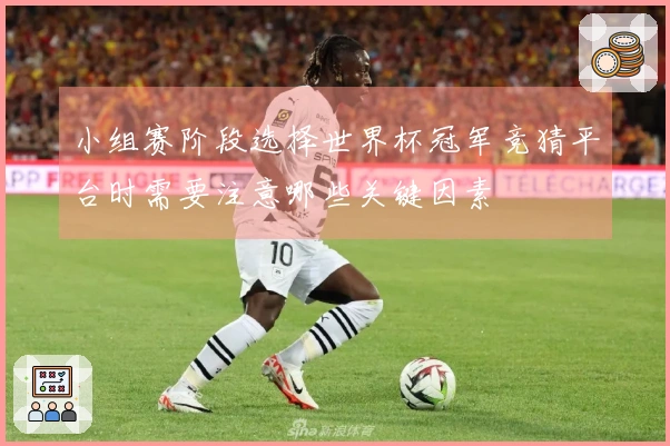 小组赛阶段选择世界杯冠军竞猜平台时需要注意哪些关键因素