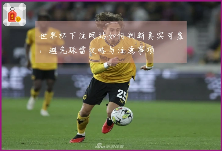 世界杯下注网站如何判断真实可靠，避免踩雷攻略与注意事项