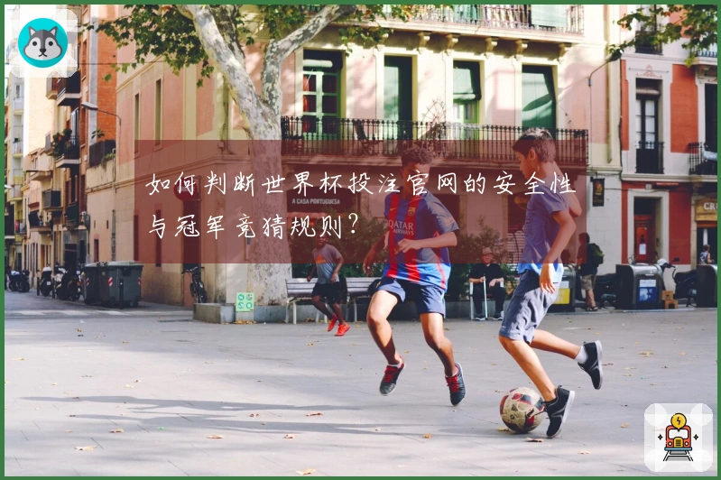 如何判断世界杯投注官网的安全性与冠军竞猜规则？