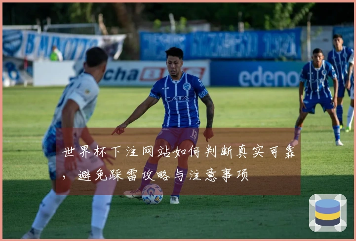 世界杯下注网站如何判断真实可靠，避免踩雷攻略与注意事项