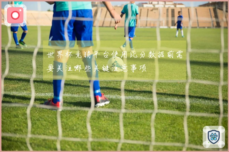 世界杯竞猜平台使用比分数据前需要关注哪些关键注意事项