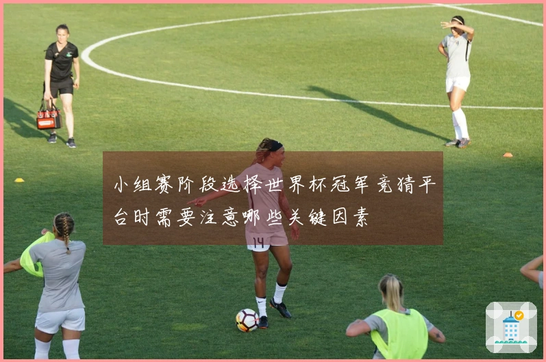 小组赛阶段选择世界杯冠军竞猜平台时需要注意哪些关键因素